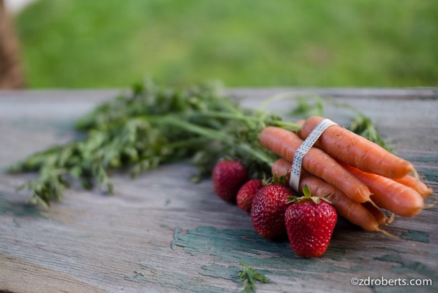 Carrot-Strawberries-Zdroberts
