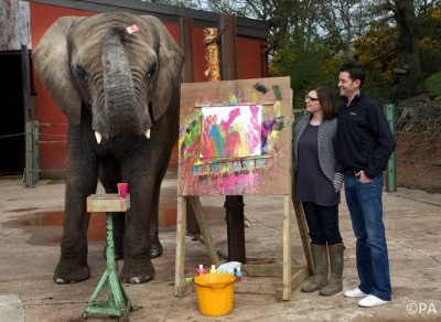 Elephant paints portrait at Safari Park